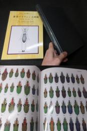 世界のオサムシ大図鑑　月刊むし昆虫大図鑑シリーズ2　美本