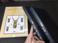 世界のクワガタムシ大図鑑　　月刊むし昆虫大図鑑シリーズ６