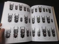世界のクワガタムシ大図鑑　　月刊むし昆虫大図鑑シリーズ６