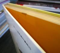 クロダイがつれたぞ