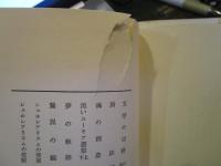 驚異の野原 : L.ヒューズ詩集