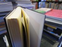 パウル・ツェランと中国の天使