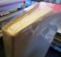 死の病い・アガタ