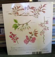 さくら 　　かがくのとも　　2005年4月号