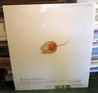 ほおずきがいっぱい　かがくのとも　2005年9月号