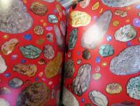 いしになりたい ＜かがくのとも＞	2005年11月号