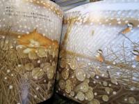 ふゆのおくりもの 　かがくのとも　2006年1月号