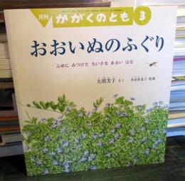 おおいぬのふぐり : ふゆにみつけたちいさなあおいはな