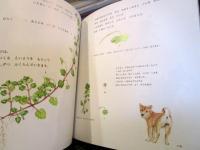 おおいぬのふぐり : ふゆにみつけたちいさなあおいはな