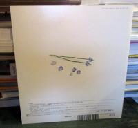 おおいぬのふぐり : ふゆにみつけたちいさなあおいはな