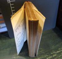 東京の散歩道 : 明治・大正のおもかげ