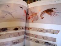 御用絵師の仕事と紀伊狩野家