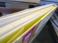 嵐の中の少女 : 中国少年が出会った日本人