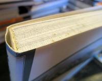 郡上釣り : アマゴ釣りの原点 六人の職漁師に聞く