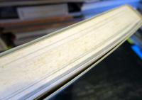 実戦精鋭たちのテンカラ・テクニック