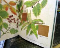 草や木のまじゅつ