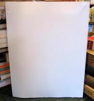 A Festschrift Commemorating The Centennial Of The Birth Of MAX KLEIBER