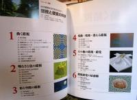 錯視と錯覚の科学 : 目の錯覚はなぜおきるのか?