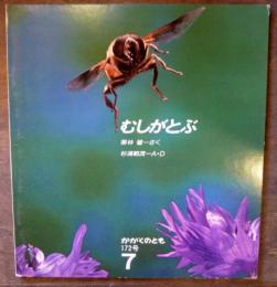 むしがとぶ　月刊予約絵本(かがくのとも)　172号7月