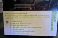 気候変動と社会