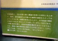 化石を探る : 動物の生きた細く長い道