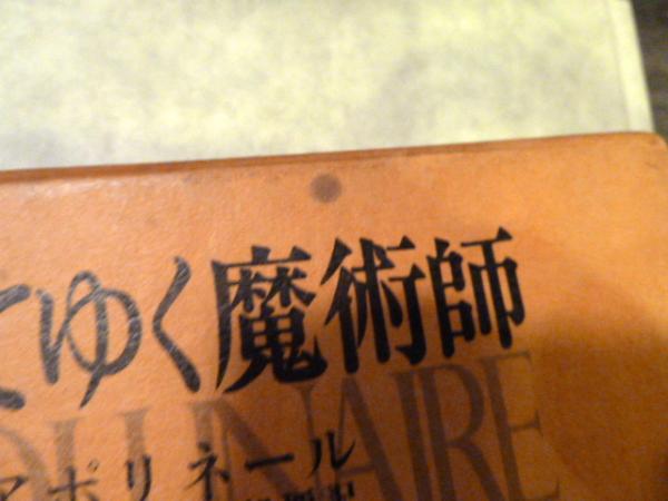 腐ってゆく魔術師 1978年初版1刷(G.アポリネール 著 ; 窪田般弥 訳