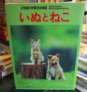 いぬとねこ　　小学館の学習百科図鑑 41