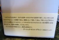 暇なんかないわ大切なことを考えるのに忙しくて : ル=グウィンのエッセイ