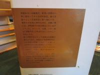 清盛以前 : 伊勢平氏の興隆