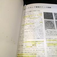 知られざるインド更紗 : 南海の島々インドネシアにおける発見