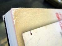 九月、東京の路上で