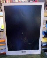 「骨を掘る男」の公式パンフレット