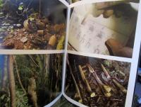 「骨を掘る男」の公式パンフレット