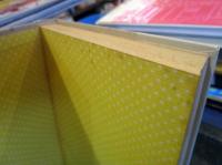 生きることの意味 : ある少年のおいたち