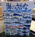 海のさかな