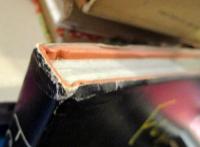 Femme de mouche　蠅の女