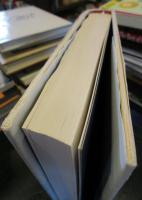 情報批判論 : 情報社会における批判理論は可能か