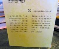 サブカルチャー神話解体 : 少女・音楽・マンガ・性の変容と現在