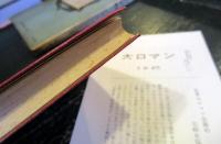 世界大ロマン全集