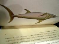 原色日本魚類図鑑