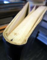 海・呼吸・古代形象 : 生命記憶と回想