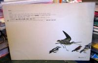 こどものとも　普及版　くちばし