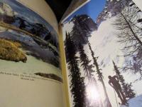 The Canadian Rockies
by Richard T. Wright　ハードカバー　英語　1981年