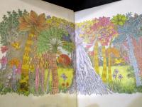 Garden in the Forest by Margaret Howell with picture by barbara Swiderska ハードカバー　英語　1976年2刷　A MINNOW BOOK