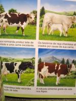 Dicionário por Imagens da Fazenda　　ポルトガル語　農場・牧場についての絵事典　
