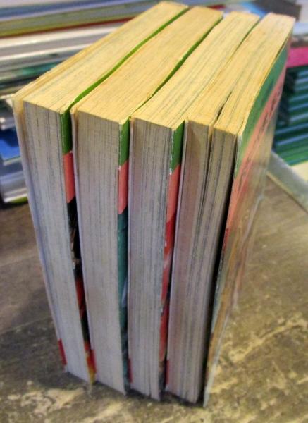 蒼茫の大地、滅ぶ （秋田文庫） 4冊セット(西村寿行, 田辺節雄 著
