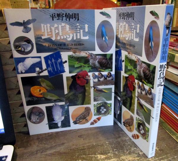 定本野鳥記 第9巻から10巻、12巻から16巻7冊セット中西悟堂