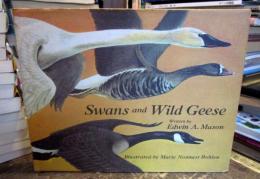 Swans and Wild　Geese