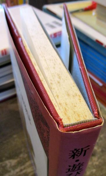 新・遊びの博物誌(坂根厳夫 著) / 古本、中古本、古書籍の通販は「日本