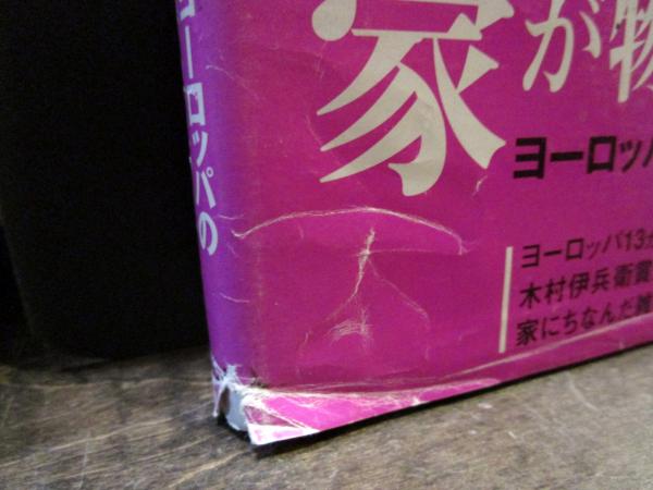 ヨーロッパの家 : 伝統の町並み・住まいを訪ねて(樺山紘一 監修
